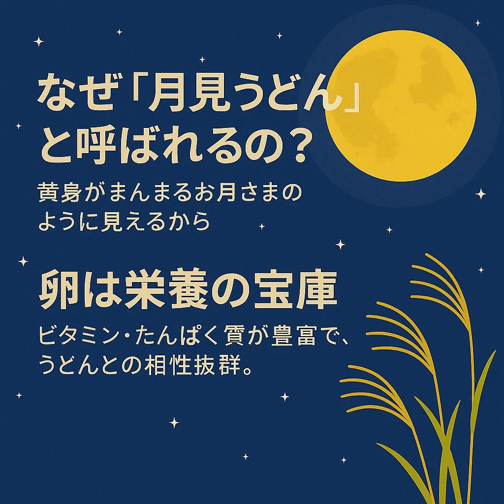 🌕🍂✨ ついに解禁 ✨🍂🌕