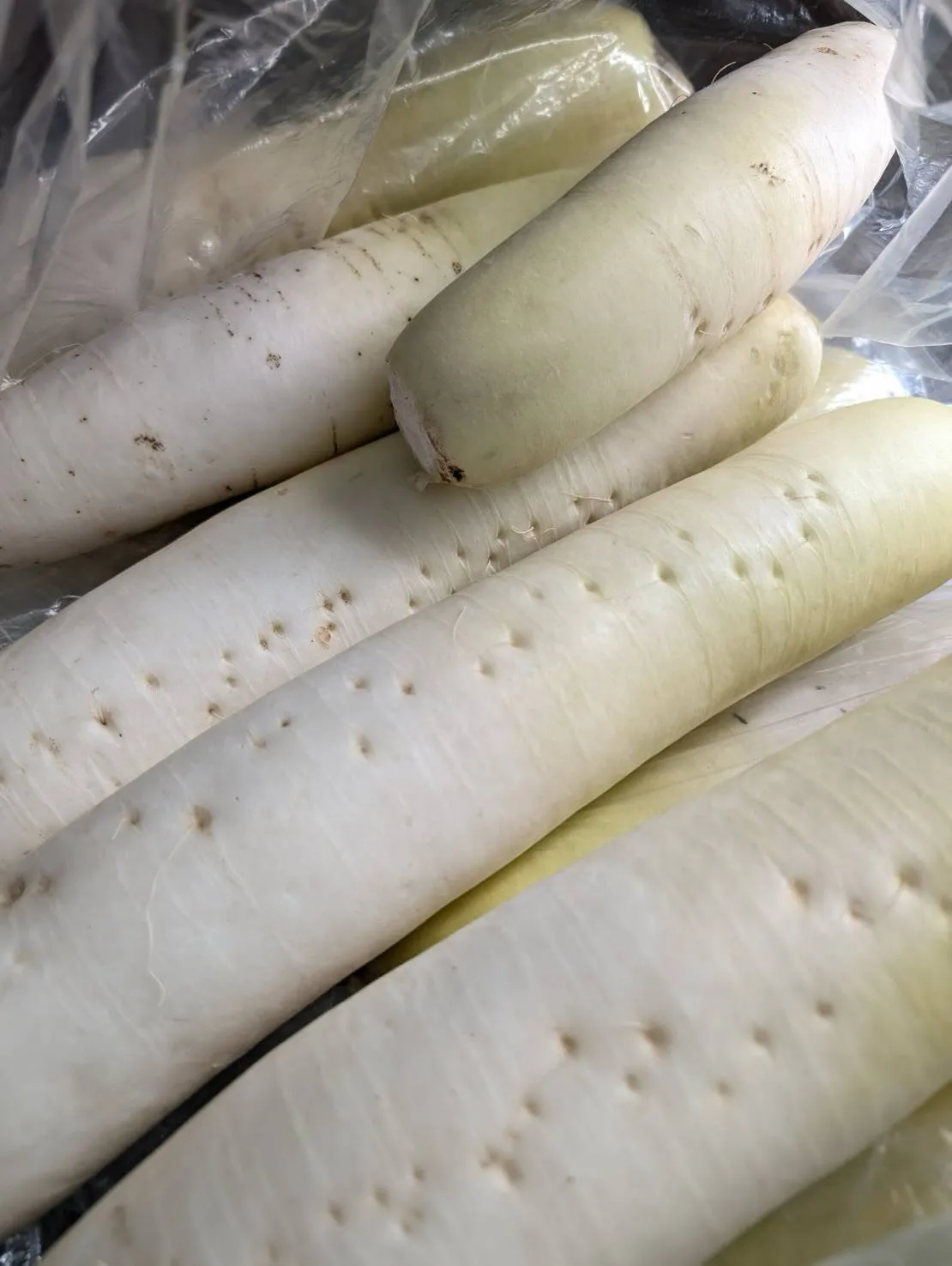 🍢こがね製麺所 今治の“自家栽培 無農薬大根おでん”🍢